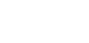 the Burger Bar