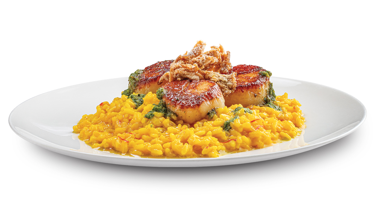 6455478_amore-image-updates_scallops